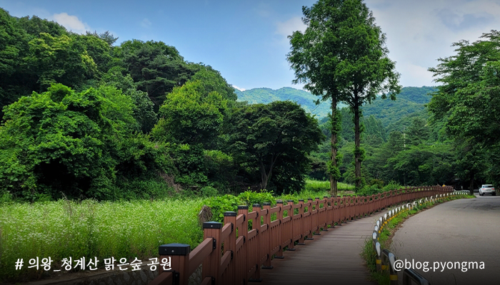 #DKZ #디케이지 #동키즈
#세현 #민규 #재찬 #종형 #기석

“We Go We Go Walking On Walking On
자꾸만 주윌 맴돌아”

φ(゜▽゜*)♪ 오늘의 추천 곡은?
🎵 DKZ-Universe

마음을 비우고 걸을 수 있는
경기도의 느좋 명소 소개 🍀

초록을 머금은 자연은 덤💚