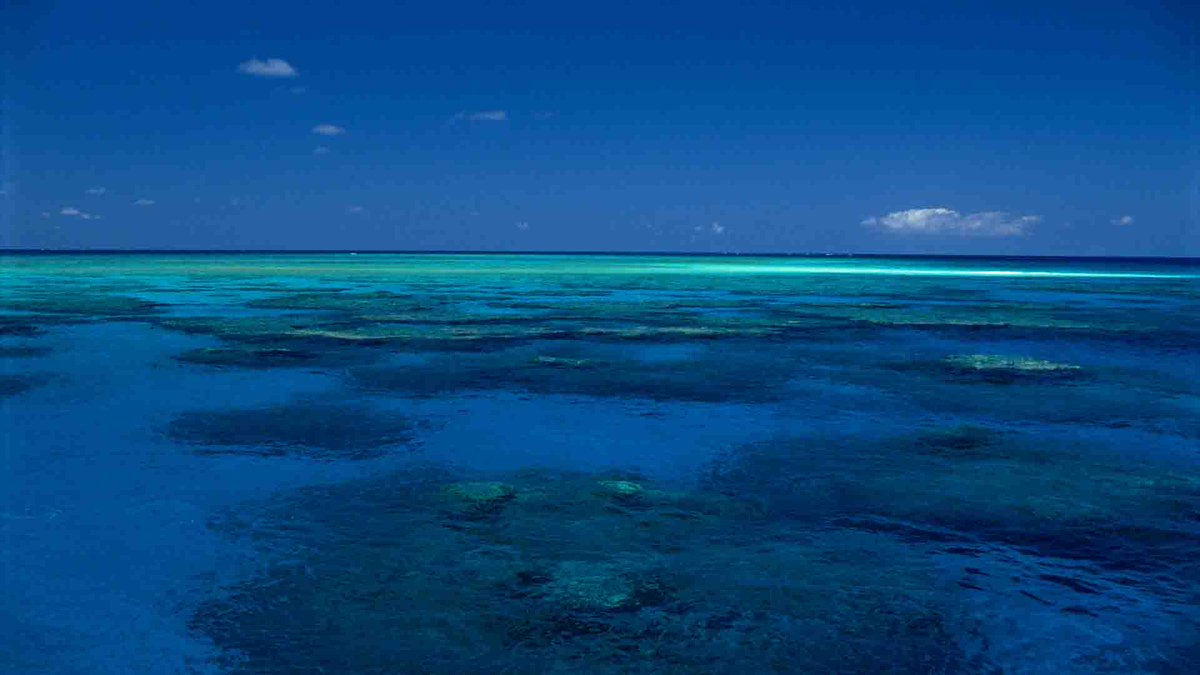 JOB OPPORTUNITY: Technician - Ocean Acidification (MOTE)

mote.org/about/employme…

#jobs #jobopportunities #careers #careerdevelopment #oceanacidification #technician #coralreefs #marinescience #marineecology #marinebiology
