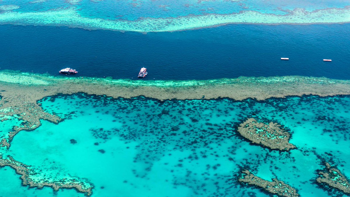 JOB OPPORTUNITY: Coral Resilience Research Scientist (MOTE)

mote.org/about/employme…

#coralreefs #jobs #jobopportunities #careers #careerdevelopment #coral #coralresilience #researchscientist #coralreefecology #marinebiology