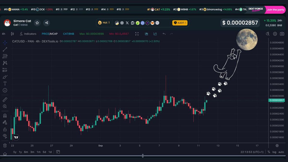 SpoTTa_'s tweet photo. @binance Good meowning from the @SimonsCatMeme community. 

$CAT $BNB $FLOKI #TOKEN https://t.co/X5HwTE3h9w