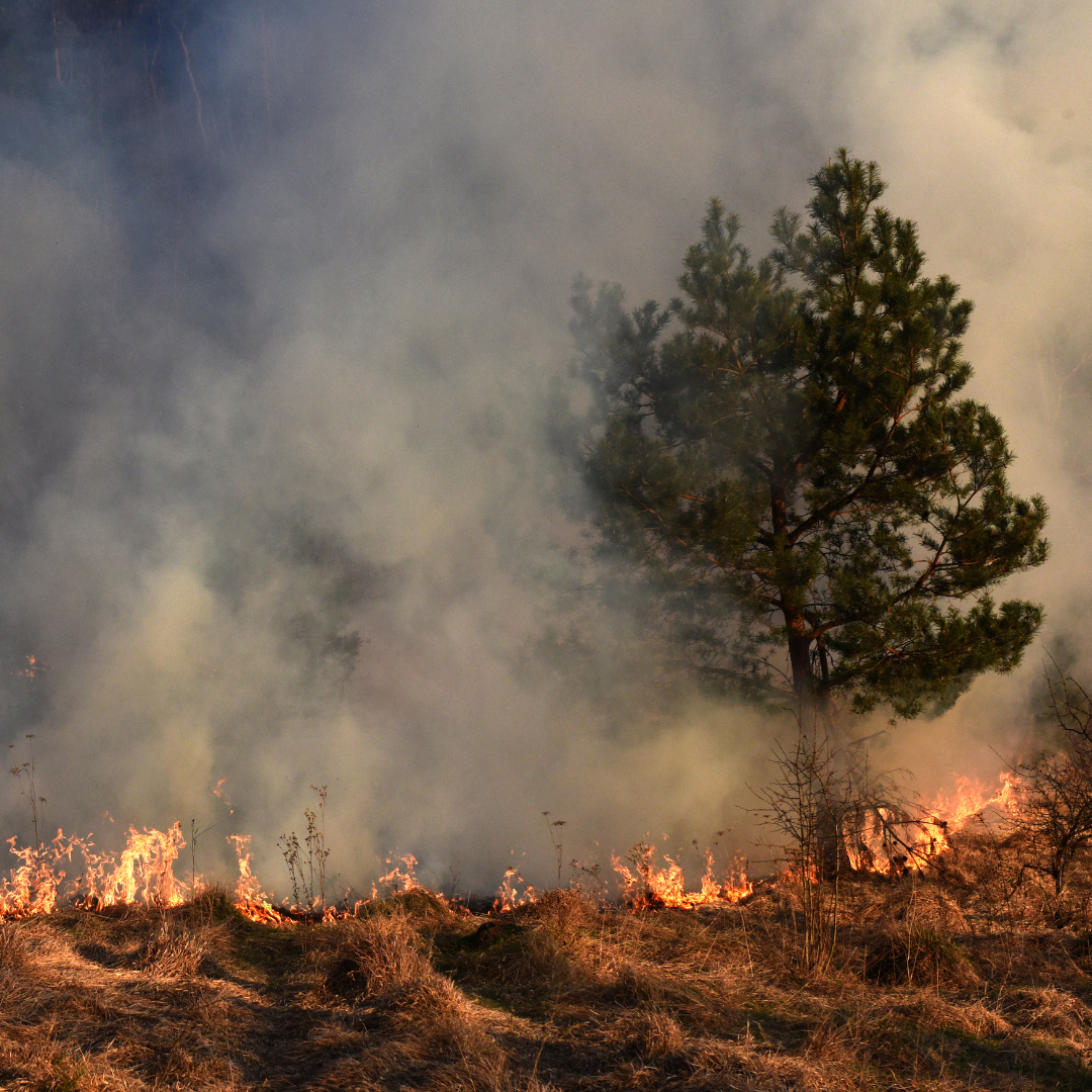 From early warning systems to school safety, UNESCO is working across sectors to reduce disaster risks and protect communities worldwide.
Discover how you can contribute to this vital work: unesco.org/en/disaster-ri…