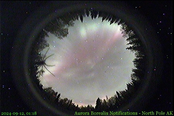 AuroraNotify tweet media