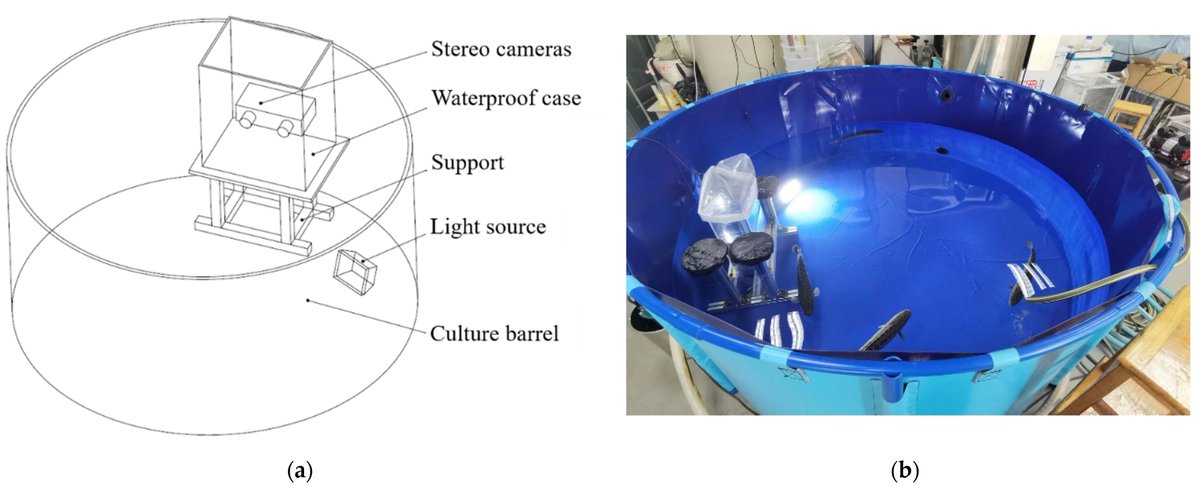 Fishes_MDPI's tweet image. 🐟 #HighCited

✍️ &quot;An Automatic Recognition Method for Fish Species and Length Using an Underwater Stereo Vision System&quot; by Yuxuan Deng et al.

👉 mdpi.com/2410-3888/7/6/…

📌 #deep_learning