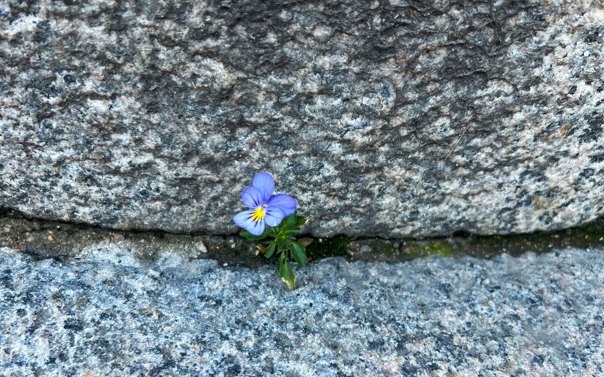 Benny Engelbrecht tweet media