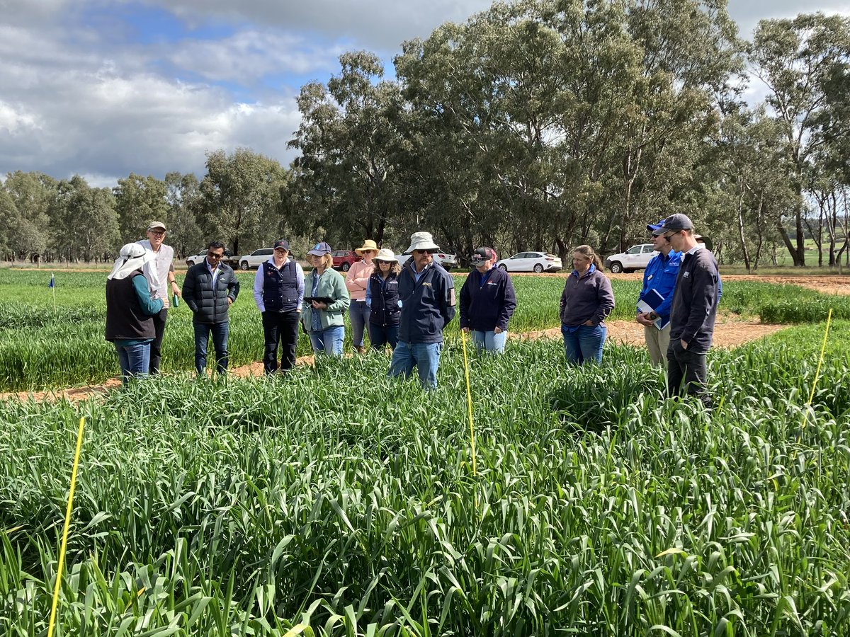 Fernanda Dreccer tweet media