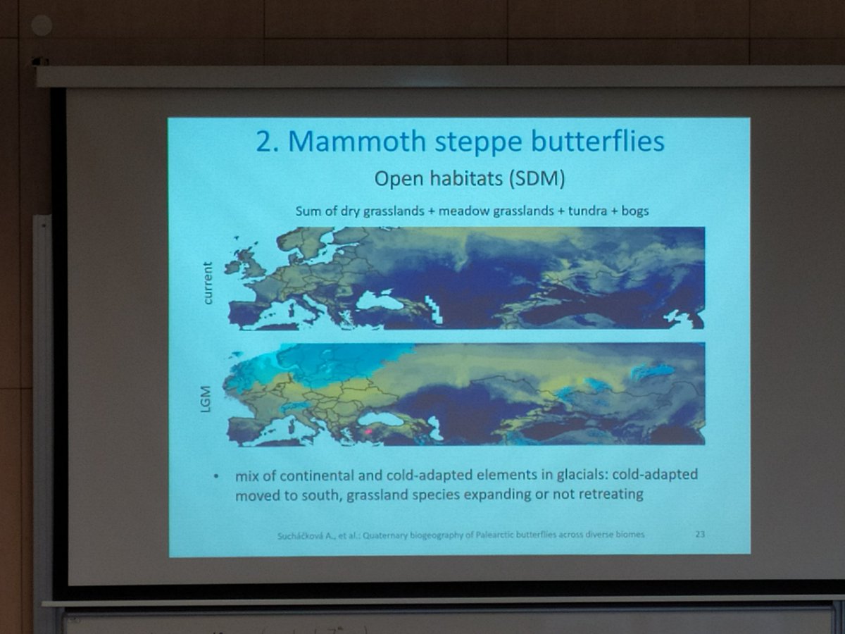 Ondřej Mottl (@ondrejmottl) on Twitter photo Alena Suchackova <a href="/AlenaSuchackov/">Alena Sucháčková</a> opened the session with a keynote showing, not only, how to use barcoding and stacked #SDM to reconstruct butterfly community in Mammoth steppe🦋🦣 Alena Suchackova <a href="/AlenaSuchackov/">Alena Sucháčková</a> opened the session with a keynote showing, not only, how to use barcoding and stacked #SDM to reconstruct butterfly community in Mammoth steppe🦋🦣