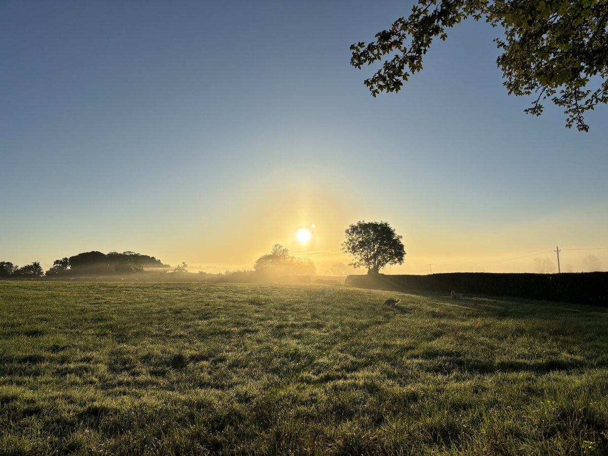 It’s easy to forget sometimes, in the hustle and bustle of a busy school, just what a lovely environment we are lucky enough to live and work in here <a href="/MillfieldPrep/">Millfield Prep</a>. What a beautiful morning!