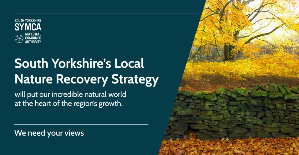 SouthYorksMCA's tweet image. Landing on a Local Nature Recovery Strategy requires your help! 

Collaborating with YOU allows US to understand the priorities of those living and working in SY.

What do you want to see more of in your area? 

Let us know through our survey: orlo.uk/BC1VF