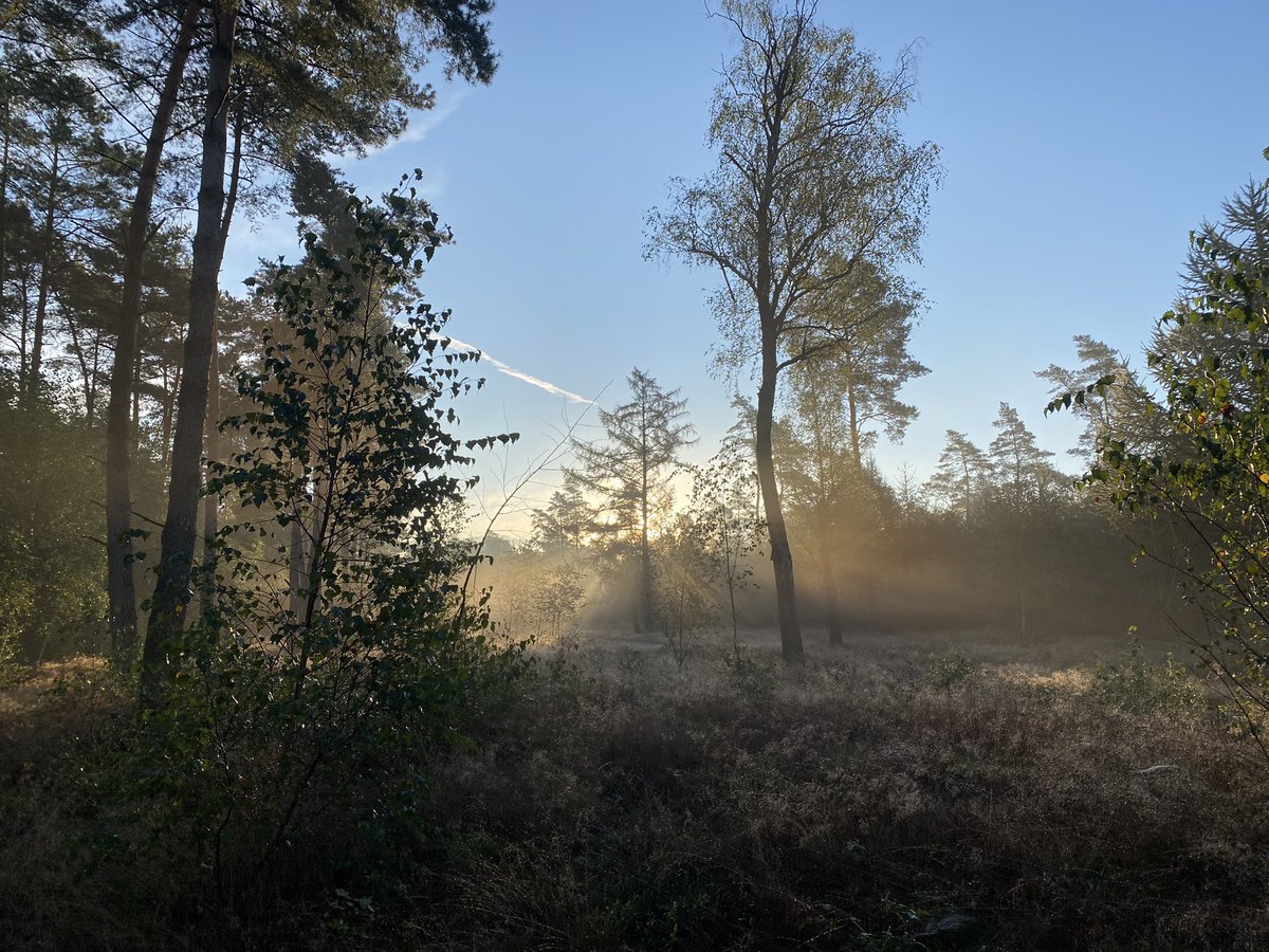 Vanochtend genoten van een mooie septemberochtend. De mist die langzaam verdwijnt waardoor er ineens overal dieren te zien zijn. En als de 🌞 echt goed doorkomt mooie jakobsladders overal🤗😎 <a href="/GemeenteEde/">Gemeente Ede</a>