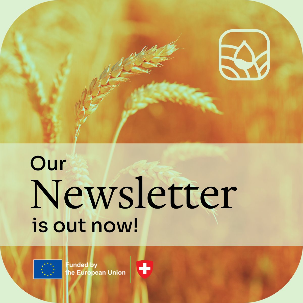 🍂 Autumn is here and so is our #AgEnResNewsletter! 🍂

We're sharing project milestones, key achievements, and upcoming events. Don't miss out!

Check it out now on LinkedIn👉bit.ly/4dZz9xU

Or subscribe on our website to receive on your email bit.ly/3B36auA 📨