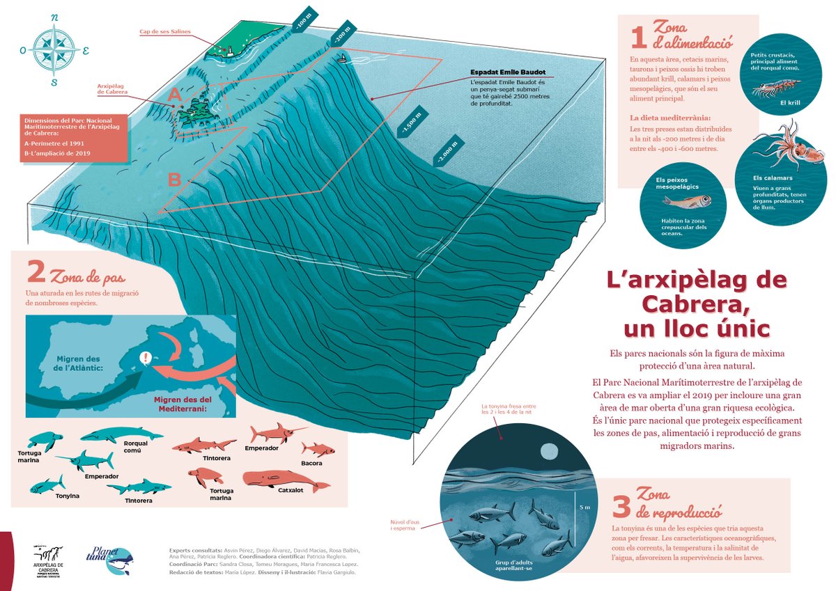 [NOU CONTINGUT] L'arxipèlag de Cabrera és un indret extraordinari, per què?  

Descobreix la seva importància en aquesta infografia que hem realitzat amb el #PNCabrera 

planettuna.com/ca/infografia-…

<a href="/AgriculturaGOIB/">Conselleria d'Agricultura, Pesca i Medi Natural</a> <a href="/oapngob/">Parques Nacionales (OAPN)</a> <a href="/GRECOresearch/">GRECO</a>