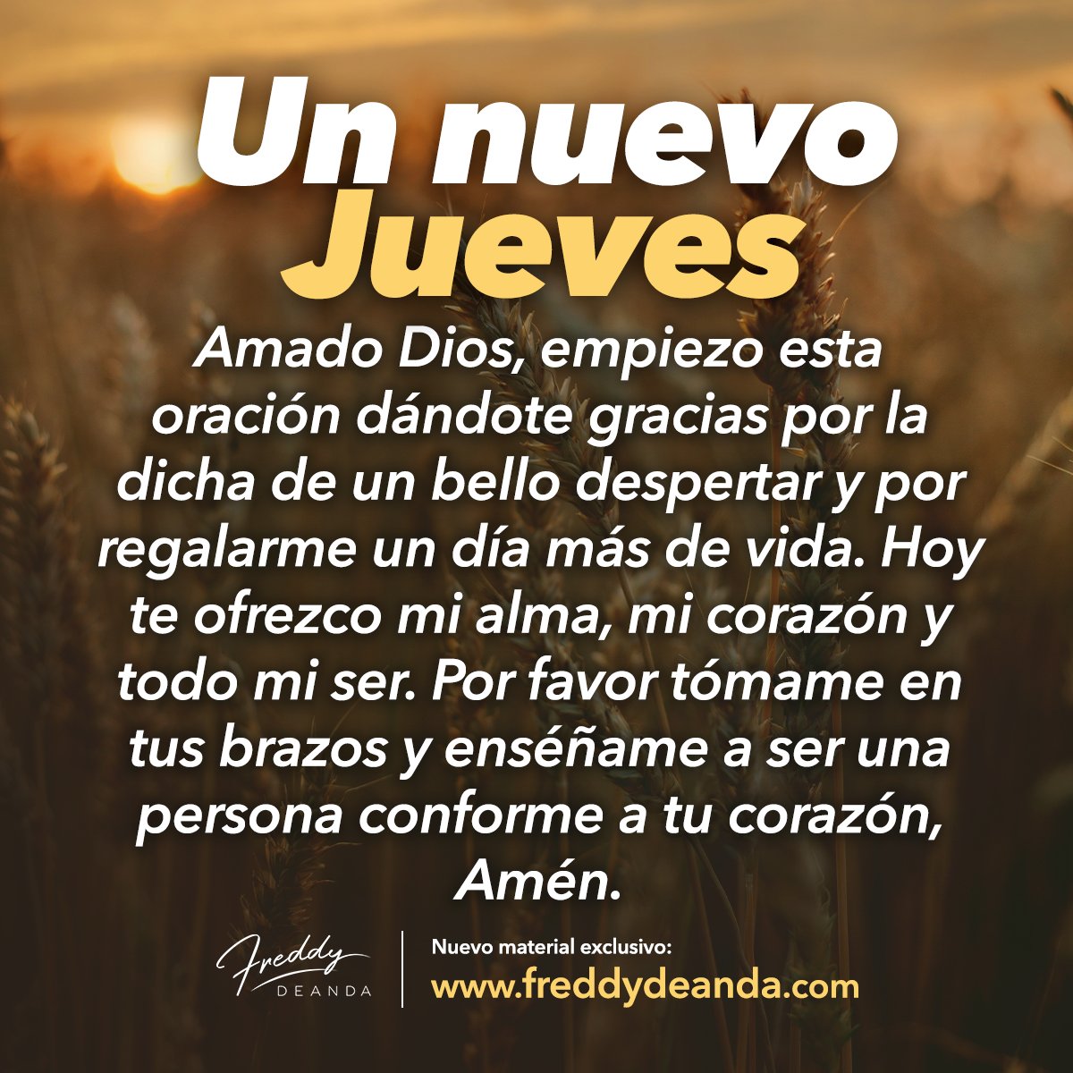 FreddyDeAndaOficial (@andaoficial) on Twitter photo 