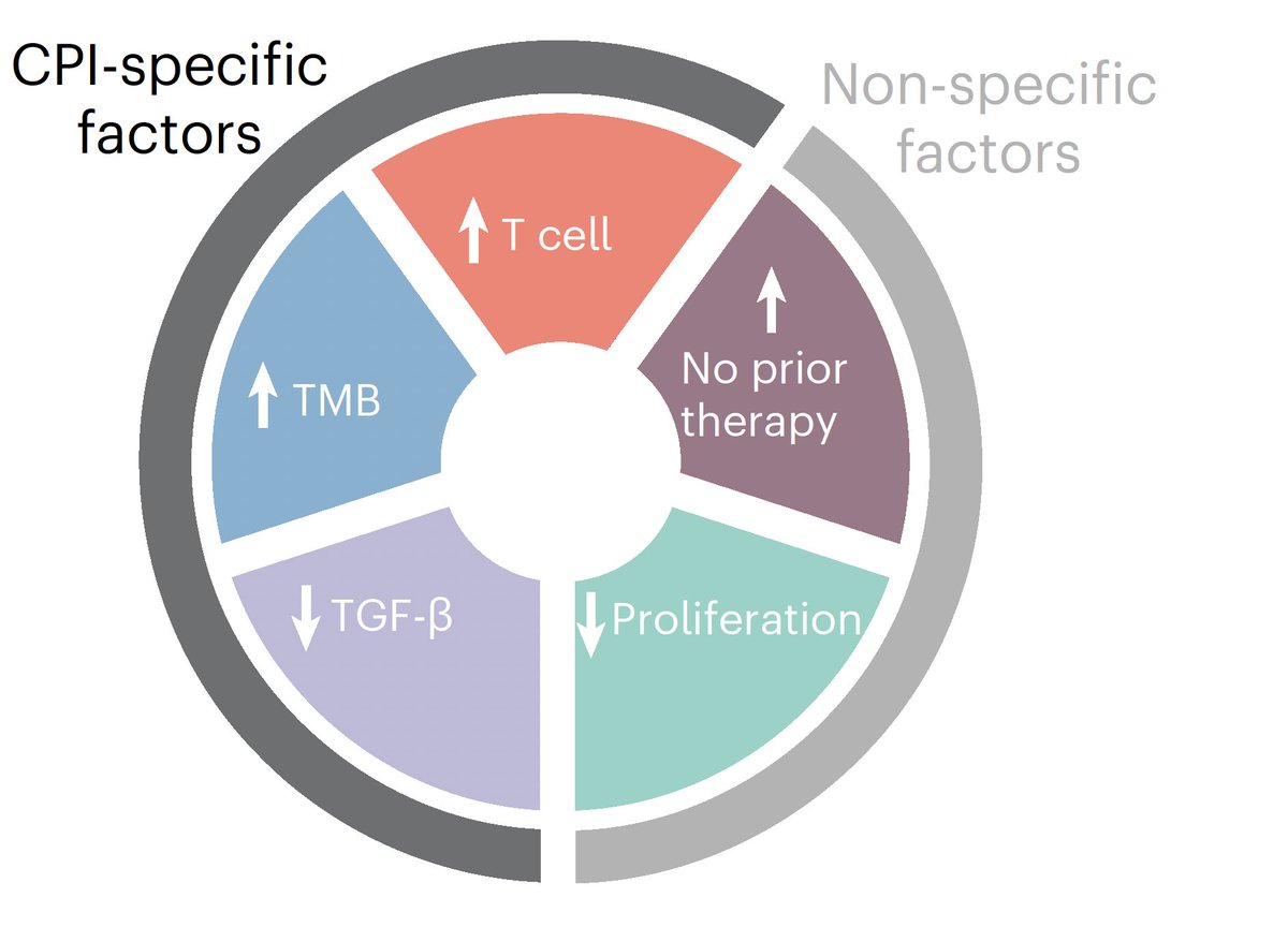 IRB Barcelona (@irbbarcelona) on Twitter photo 💡Five key factors predict the response of #cancer patients to #immunotherapy
✍️ <a href="/fmuinos/">Ferran Muiños</a> <a href="/abel_gonzalezp/">abeldavidgp</a> <a href="/nlbigas/">Nuria Lopez-Bigas</a> et al.
📰<a href="/NatureGenet/">Nature Genetics</a>
➡️bit.ly/3XDCxJ3
📌DOI: 10.1038/s41588-024-01899-0
#IRBScience #CancerResearch 💡Five key factors predict the response of #cancer patients to #immunotherapy
✍️ <a href="/fmuinos/">Ferran Muiños</a> <a href="/abel_gonzalezp/">abeldavidgp</a> <a href="/nlbigas/">Nuria Lopez-Bigas</a> et al.
📰<a href="/NatureGenet/">Nature Genetics</a>
➡️bit.ly/3XDCxJ3
📌DOI: 10.1038/s41588-024-01899-0
#IRBScience #CancerResearch
