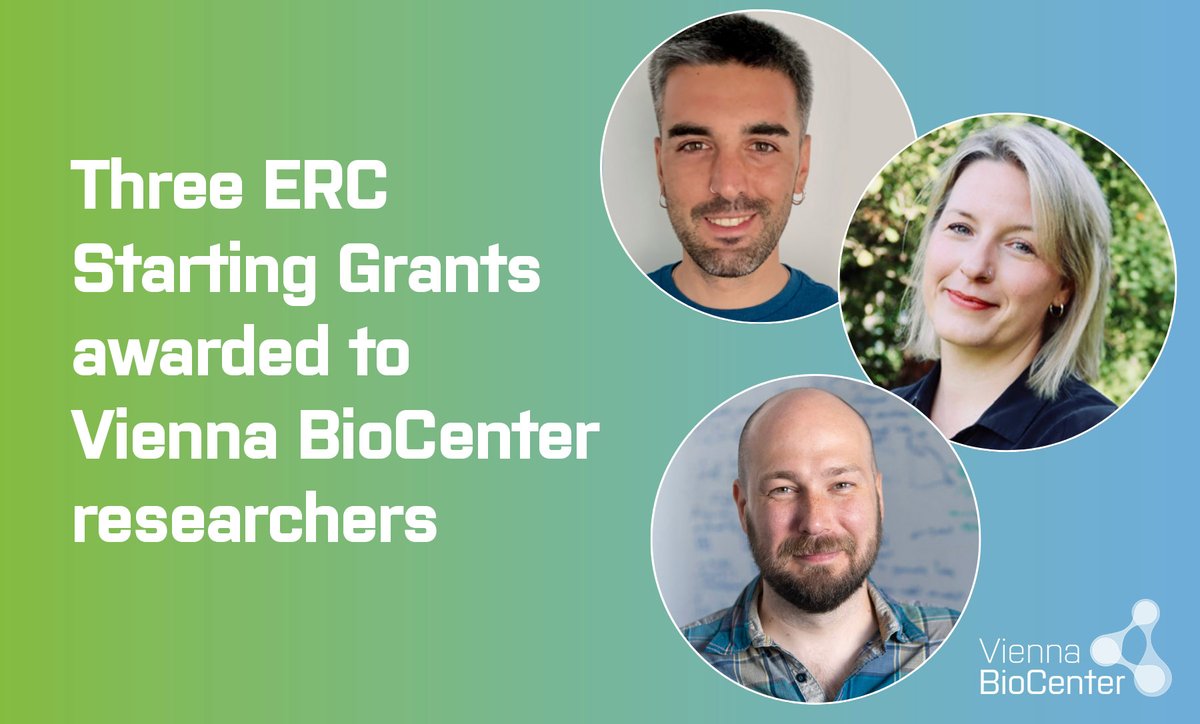 Three ERC Starting Grants have been awarded to researchers at Vienna BioCenter

Congratulations to Pere Gelabert (Faculty of Lifesciences), Isabella Anderson-Wagner (CeMESS) and Anton Goloborodko (IMBA)

Read more about their research here: lnkd.in/dEyccZKh