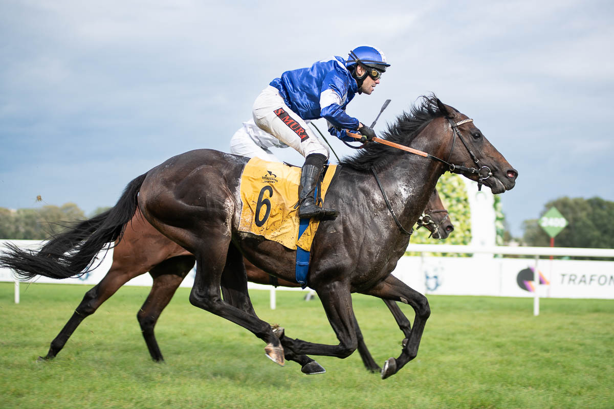 W sobotę widzimy się na #TorSłużewiec 🏇
Rozegranych zostanie 9⃣ gonitw, w tym wyścig o Nagrodę Przedświta.

➡️ Bilety: torsluzewiec.pl/bilety/ 
➡️ Program gonitw: torsluzewiec.pl/wp-content/upl…
➡️ Trafiaj swoich faworytów na TrafOnline.pl