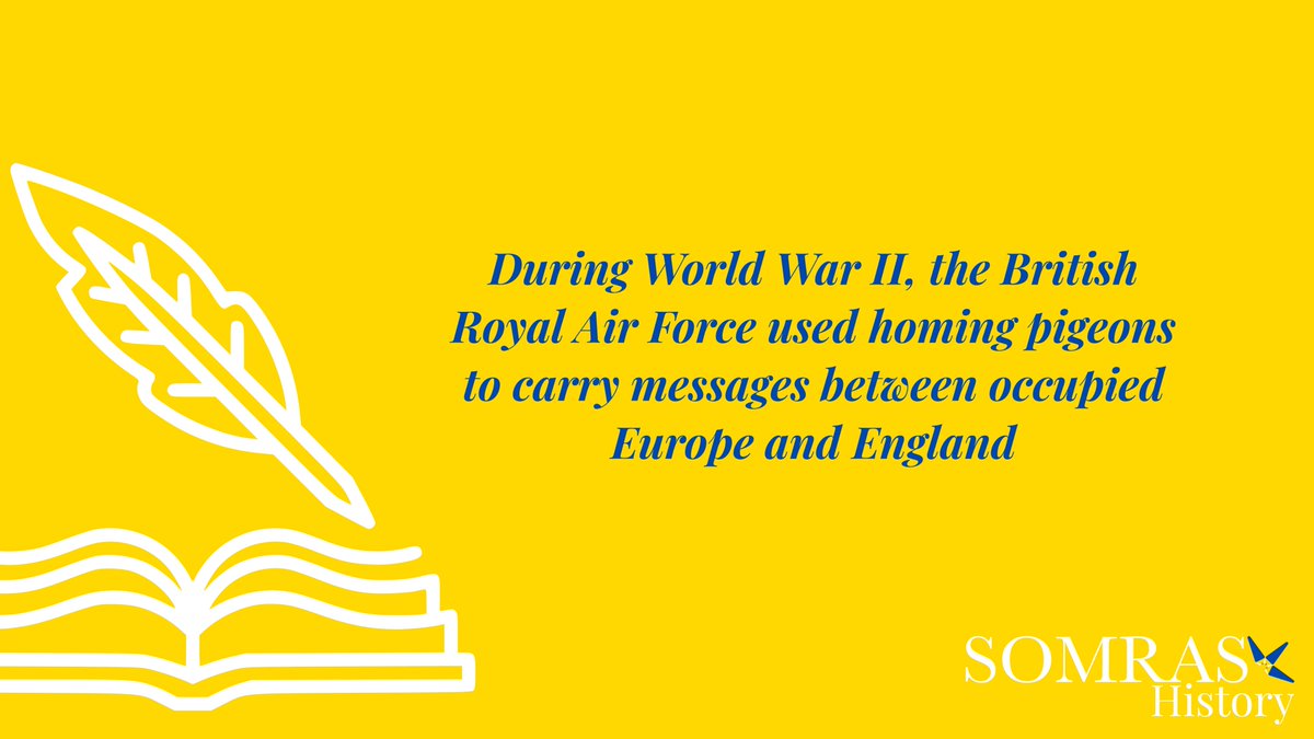 Somras Ventures tweet media