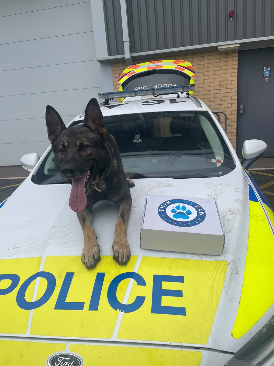 Officers were called to reports of two males in balaclavas committing road traffic offences on an electric bike in Grimsby. One fell off the bike and was quickly detained by PC Marsden &amp; PD Yoiko. Bike seized and rider reported for failing to stop, no insurance and no licence.