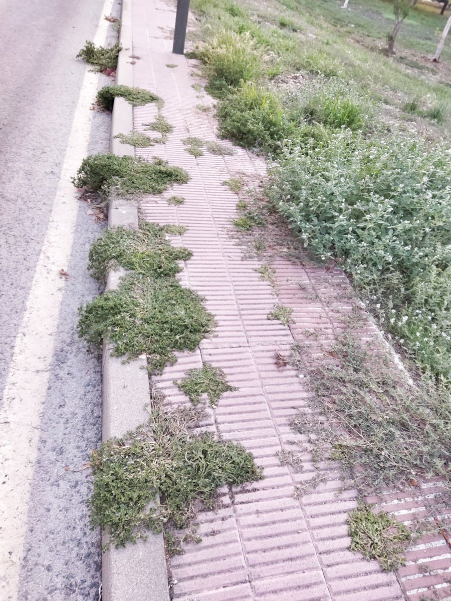 SalvemTarragona's tweet photo. Avui al barri de Boscos d Tarragona i la seva #Tarragonabruta si ets una persona amb dificultat d movilidad es molt dificil anar per les aceras d las trampes k te trobes https://t.co/75jJoZucot