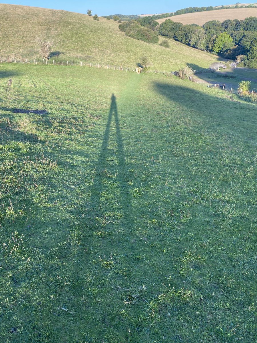 Autumn shadows ⁦<a href="/sdnpa/">South Downs National Park</a>⁩