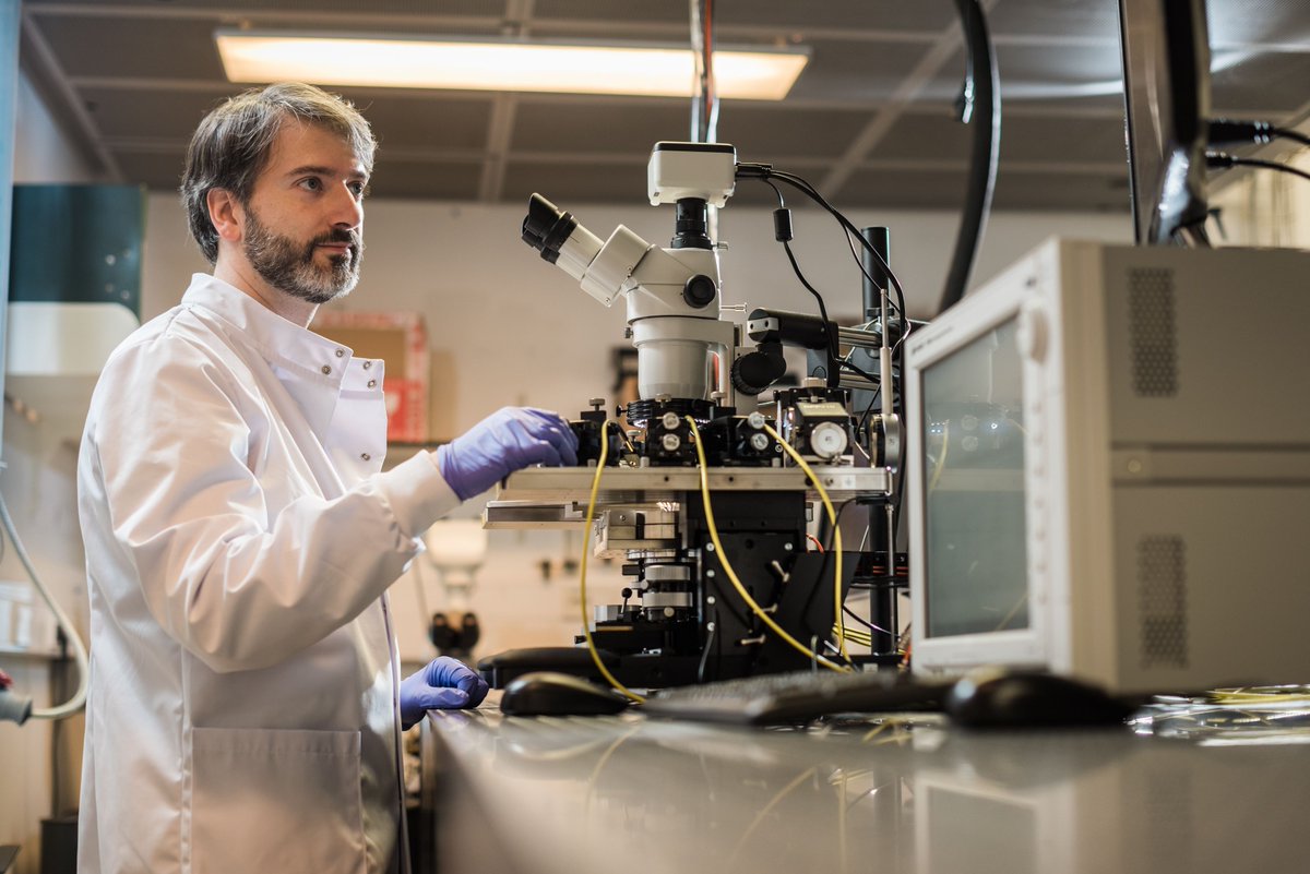 ucleeenews's tweet photo. Join UCL as a Research Fellow in Luminescent Solar Concentrators for Horticulture. Help develop tech to boost plant growth 🌞🌱.
📍 London | 💷 £42,099 - £50,585
🗓️ Apply by 23 Sept 2024
🔗 More info: https://t.co/SvjuPKYcYr
#HorticultureTech #UCLCareers https://t.co/3KdbpIZr9m