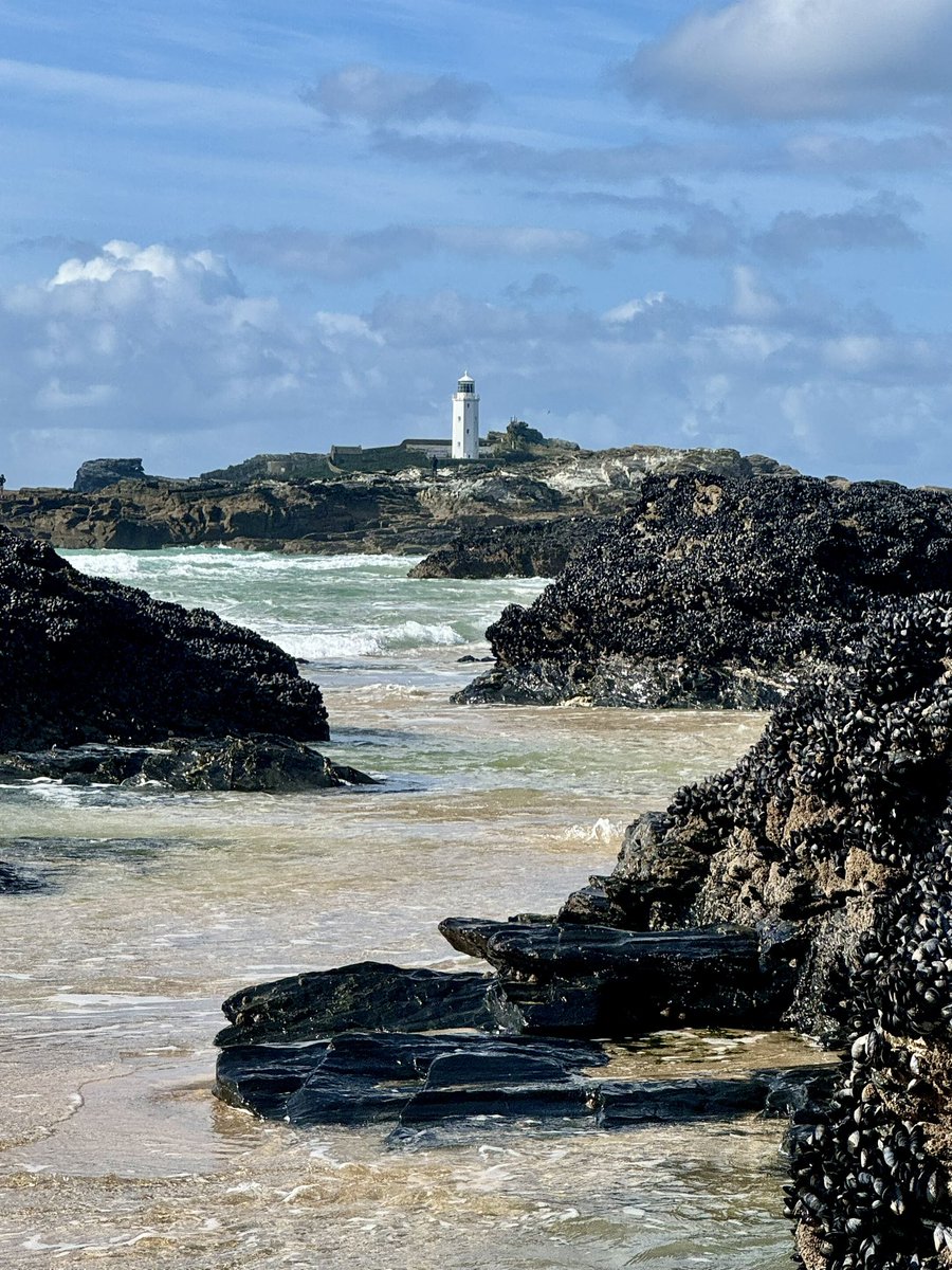 Amelia Clark, Lover of Flagons tweet media