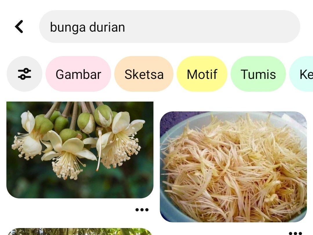 Schmidt. tweet media