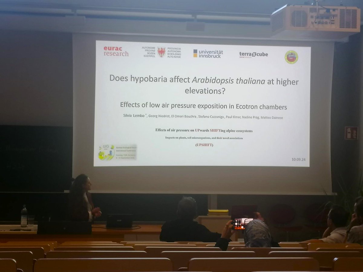 Our colleagues are busy at @GfoeSoc!📈🎙️ 
Here are some insights from their compelling talks on #biodiversity monitoring🪲🦇🪱🌸, acoustic #monitoring approaches🐦‍⬛🐦, #wildbee communities🐝 &amp; upwards #shifting #ecosystems 🏔️☀️🌱.