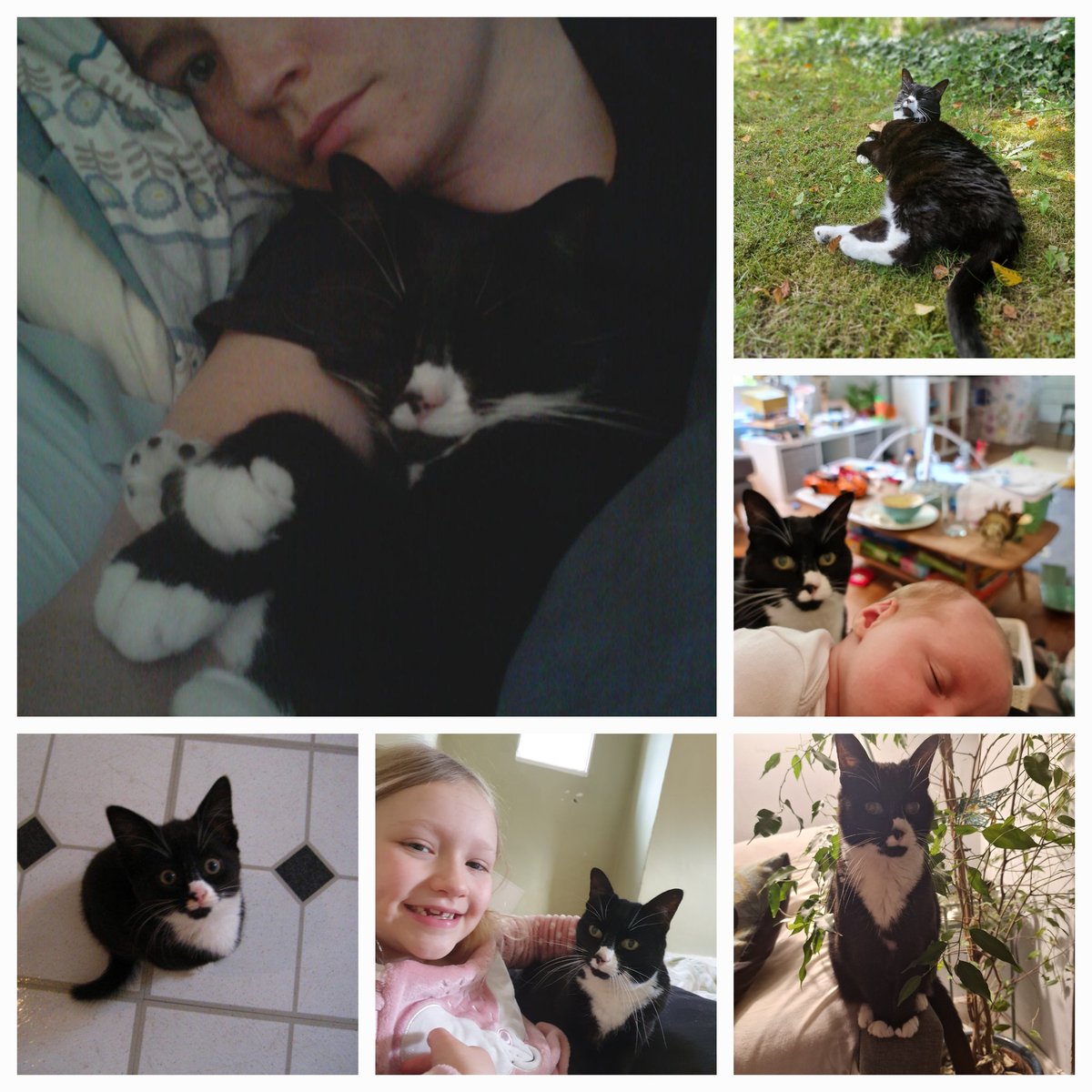 We said goodbye to Basil on Monday after 17 years of snuggles. In my son's words, she was the best cat ever. It is amazing the impact pets can have and it has left a big hole in our family.