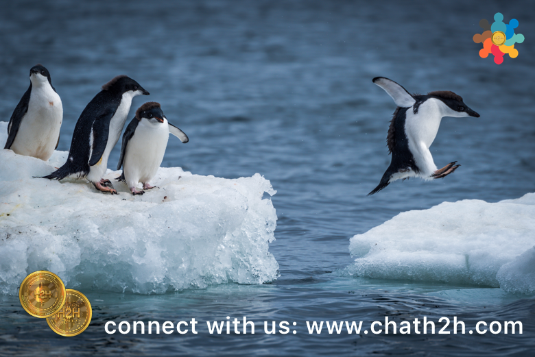 ChatH2H's tweet photo. Please don't eat me!
Meet the brand new #chath2h #h2htoken
Discover more https://t.co/LVxvEX43QN join in. 
#BTC #web3 #jjk269 #Harris  #Decision #Impact #Ai #Blockchain #climate #Sustainability #Kendrick #YouthForClimate #VMAs #Taylor #jeonghan #chappell #sabrina #Katy #Fujimori https://t.co/6vPQBHiclh
