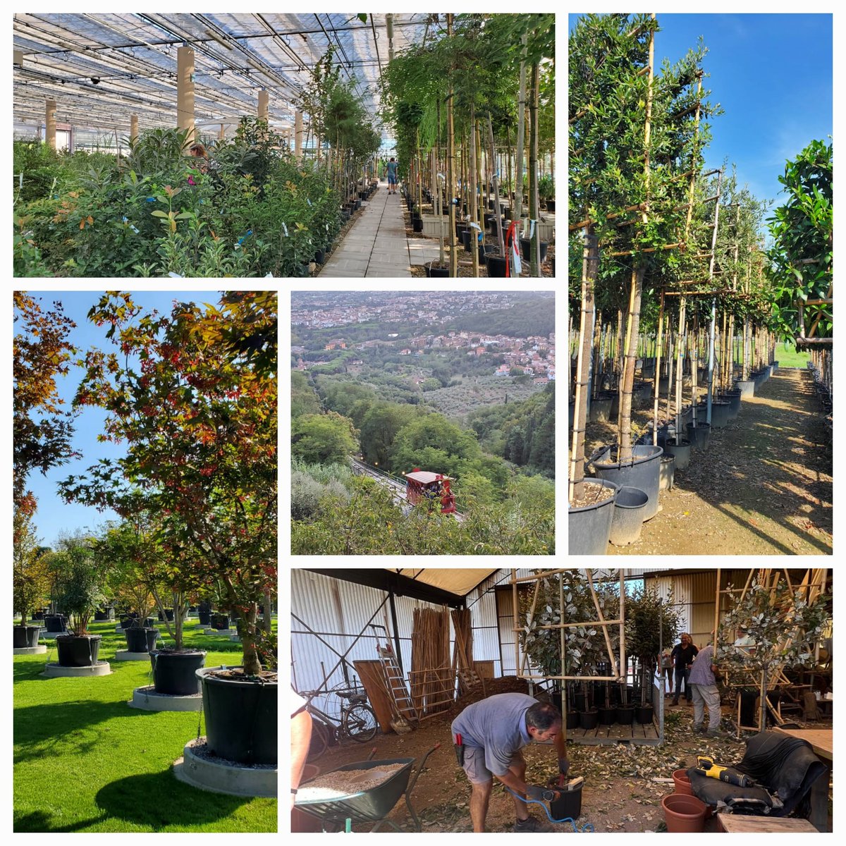 Treeport ledenreis in Pistoia, Italië: dag 1 met bezoek aan Vanucci Pianti, Vivai Soldi en een rit met de kabeltrein naar Montecatini.