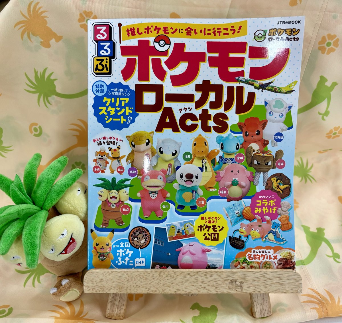 ポケモンローカルacts クリアファイル 13枚セット ポケモンローカルacts クリアファイル 13枚セット ポケモンローカル