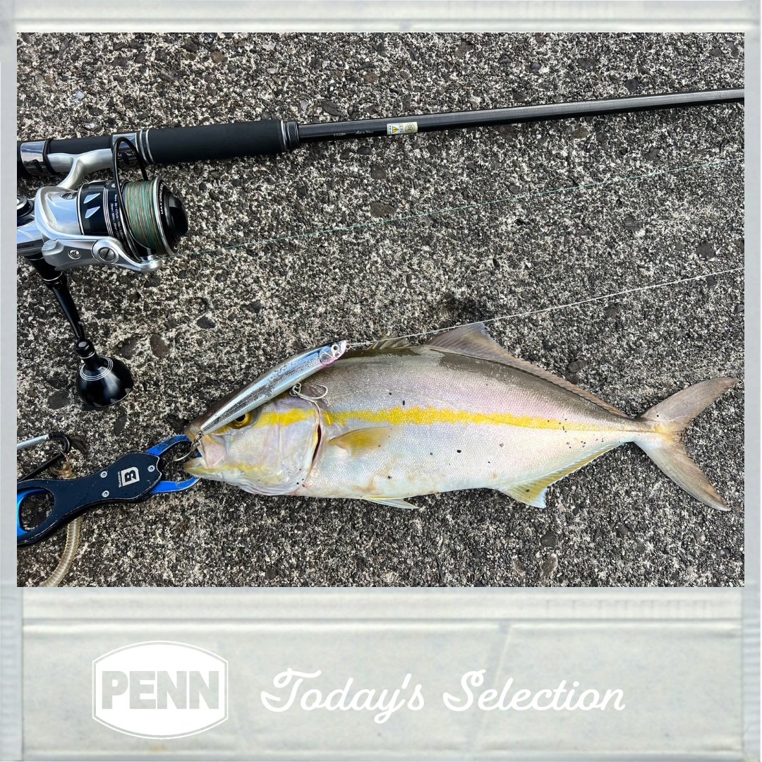 purefishing_jp's tweet photo. 大漁ですね!Slammer IV DXでナイスキャッチ😎
@shigenorikoda
皆さんも #penn_japan で投稿してみてくださいね!
#PENN
#ペンリール
#LETTHEBATTLEBEGIN https://t.co/MZzlxwZIbg