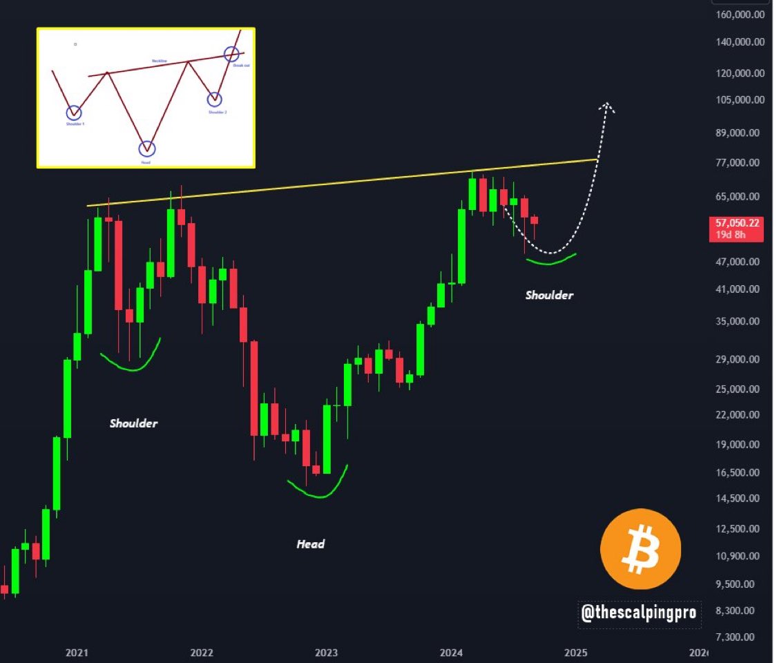 Coin Shorts 【仮想通貨】 tweet media