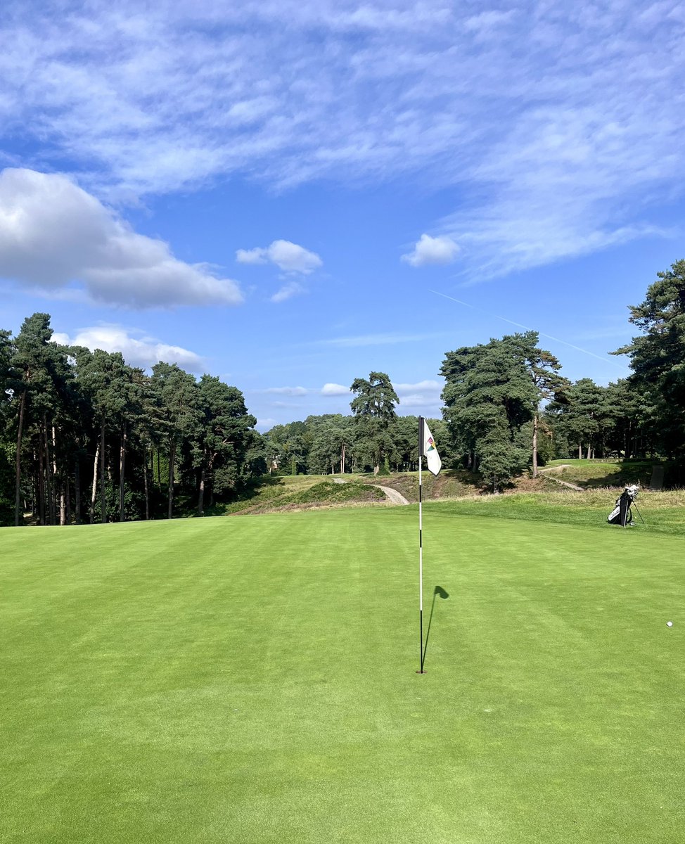 martingrey83's tweet photo. @CamberleyHeath has a great layout and mix of challenging holes #top100courses https://t.co/tonuNbOwA1