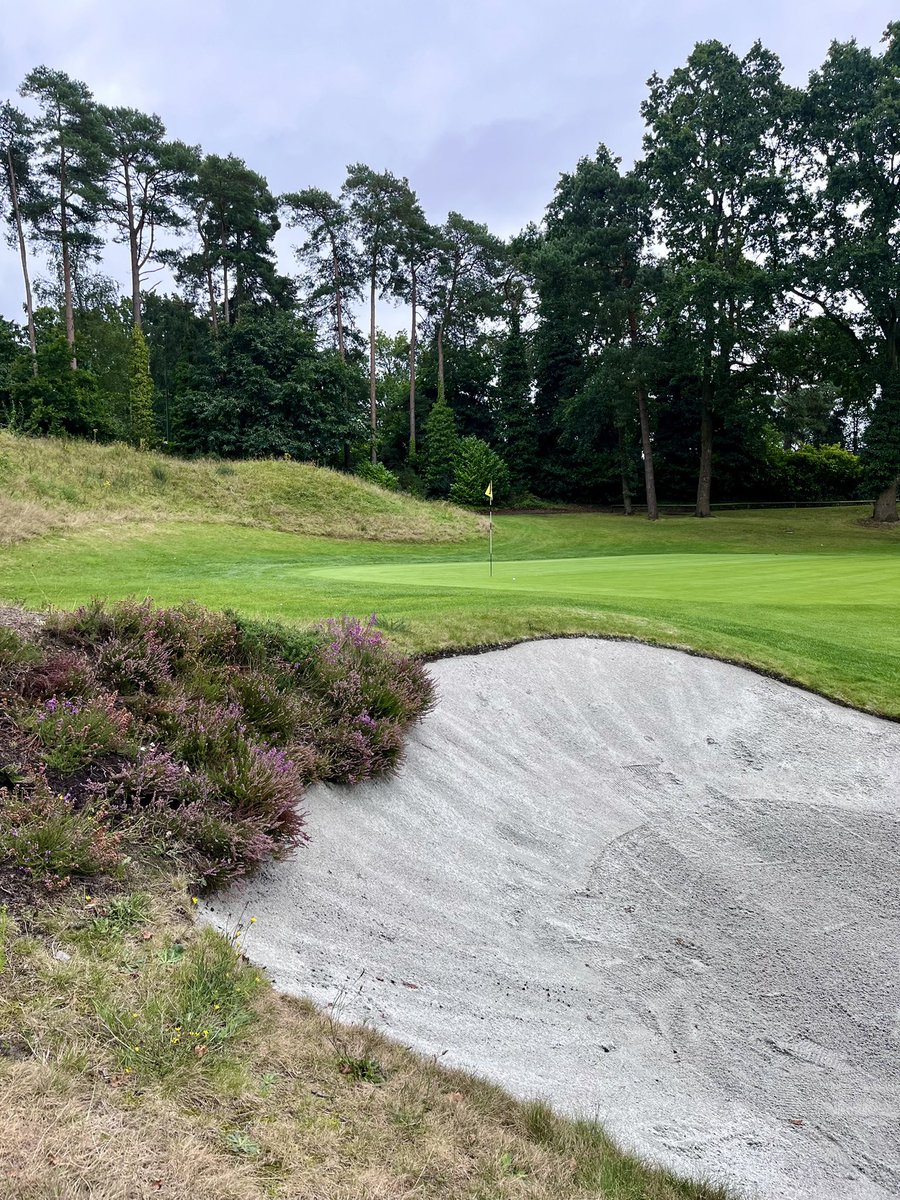 martingrey83's tweet photo. @CamberleyHeath has a great layout and mix of challenging holes #top100courses https://t.co/tonuNbOwA1