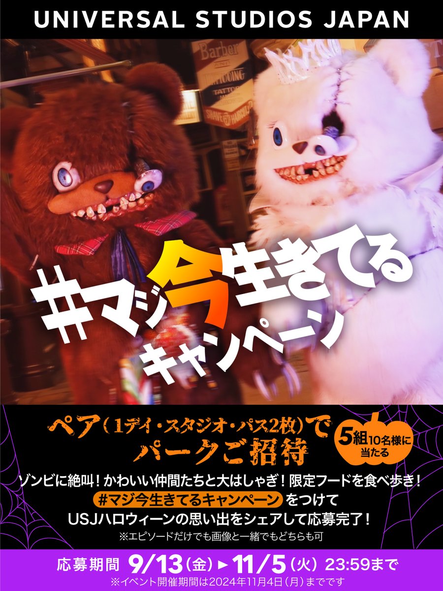 USJ ユニバーサル　スタジオ　ジャパン　パートナー　フレンドリー　チケット　2枚　有効期限2019/03/31 ユニバーサル・スタジオ・ジャパンとサンスターコーポレート