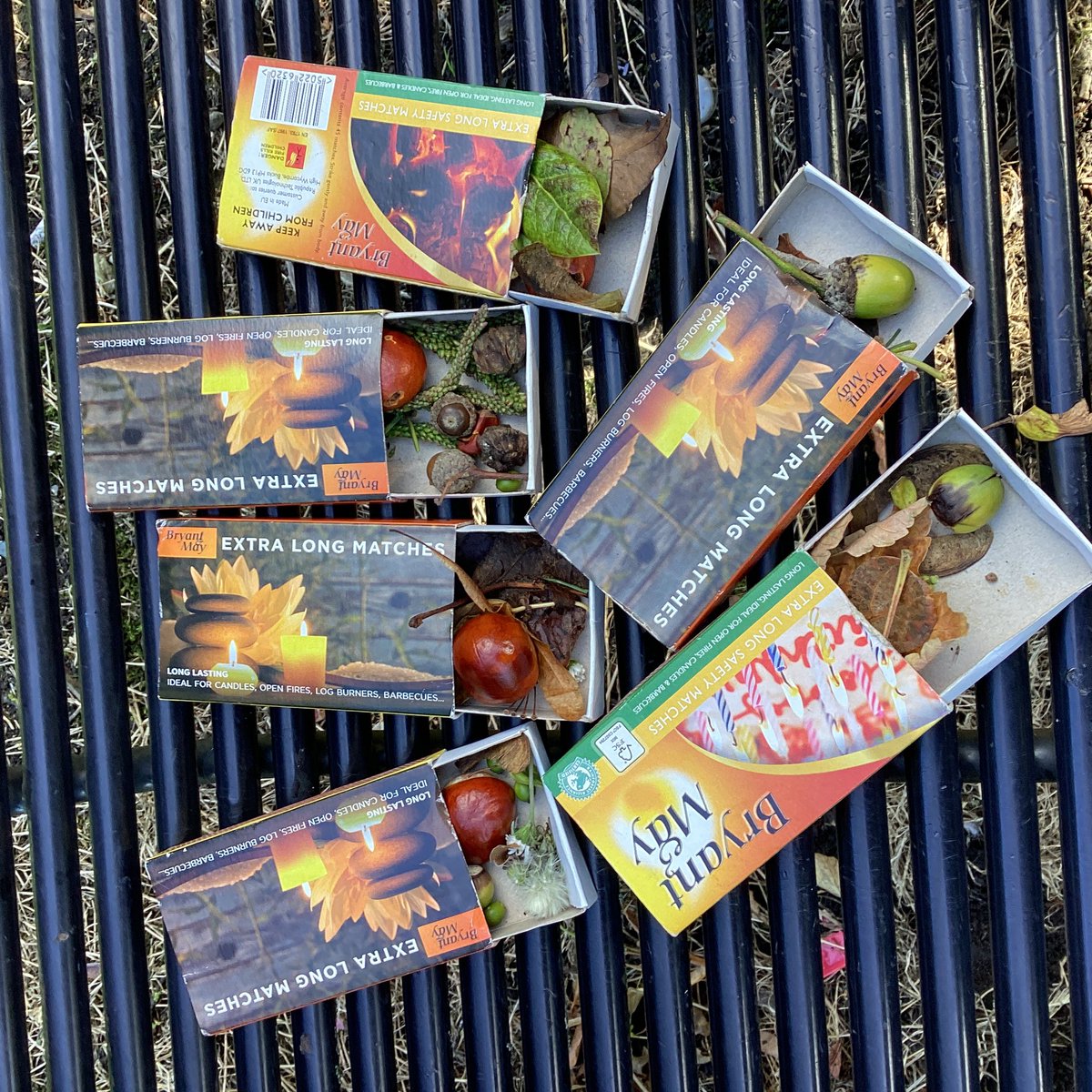ECS_Keighley's tweet photo. Yesterday year 1 went on a leaf and seed hunt. We had a challenge to see how many different things we can fit in a matchbox #matchboxchallenge #outdoorlearning #CLOtC #knowyourtrees https://t.co/5ZEFEBd39W