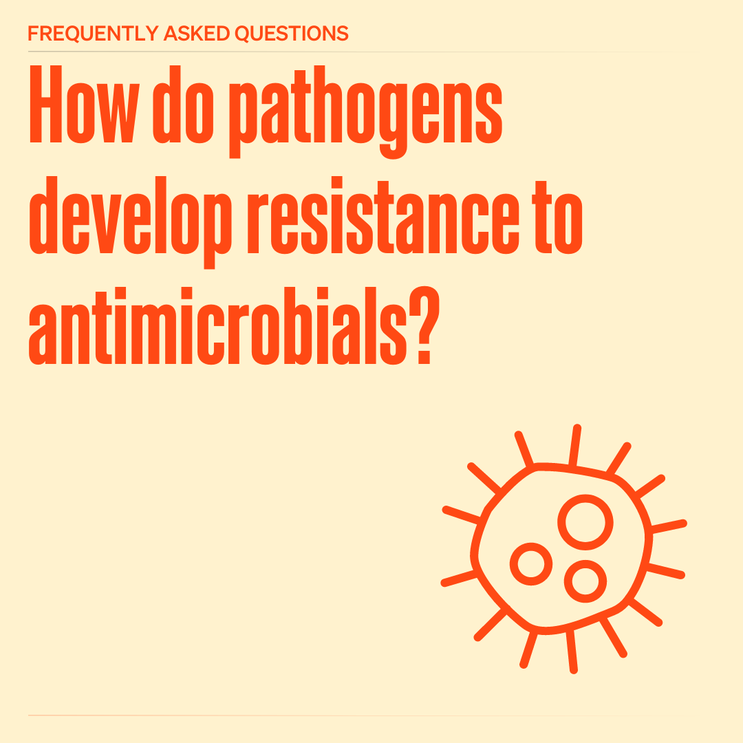 WOAH's tweet photo. Bacteria and other germs continue to get stronger, making antibiotics less effective. Without action, simple infections could become dangerous for both humans and animals. That’s why it’s so important to use #antibiotics responsibly and protect these precious medicines.
#AMR