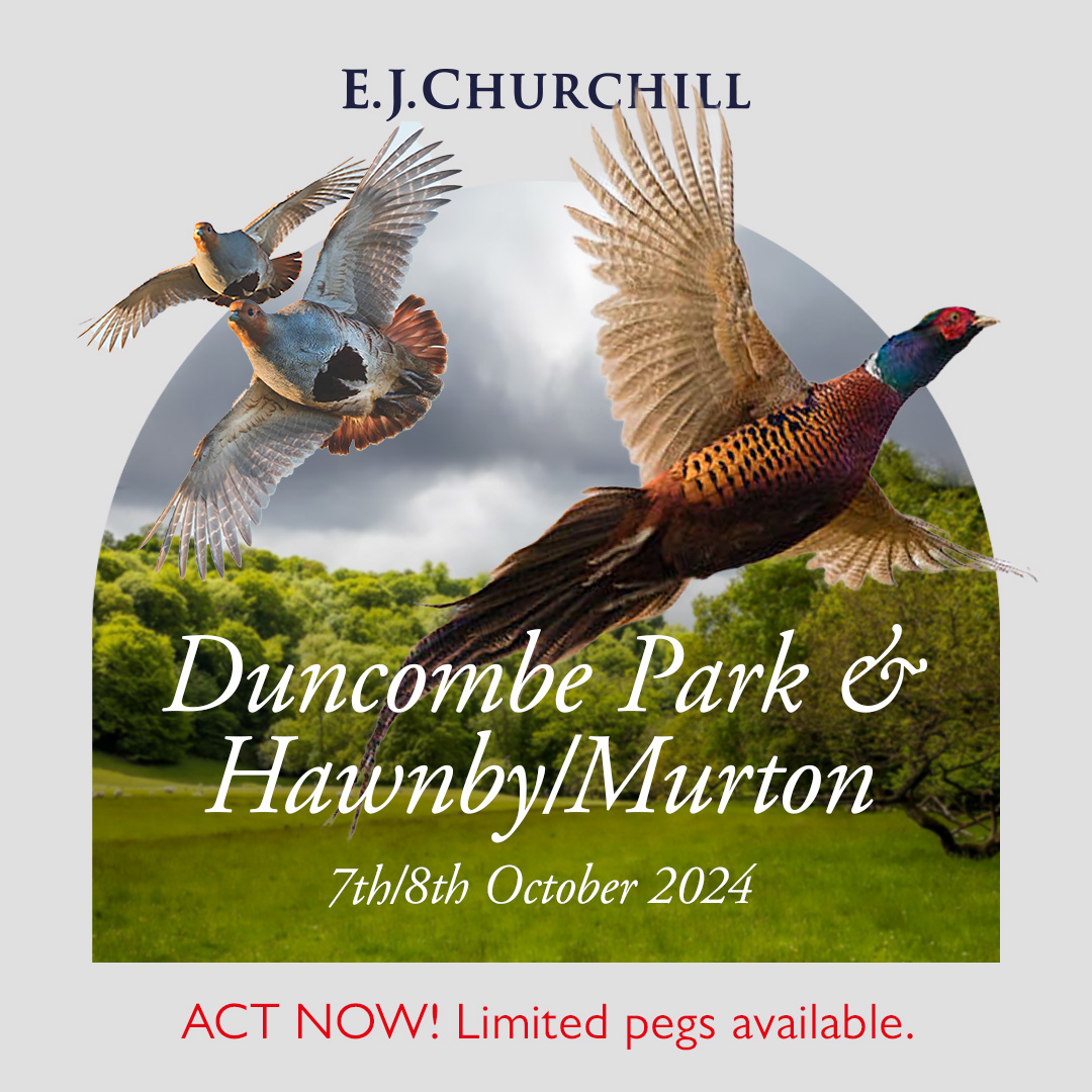 Duncombe Park &amp; Hawnby/Murton Shoot 🎯🗓️ 👏
7th &amp; 8th October 2024

ACT NOW! Limited pegs available.

Join us at two of the best shooting spots in North Yorkshire, and possibly the UK! Duncombe Park and Hawnby/Murton.

For bookings contact: Sporting@EJChurchill.com