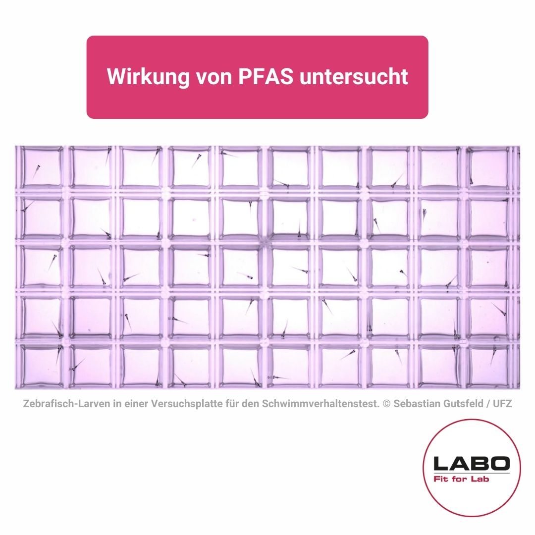 LaboOnline's tweet image. Können #PFAS die Entwicklung und Funktion des Gehirns beeinflussen?

Ein Forschungsteam des Helmholtz Centre for Environmental Research (UFZ) hat die Auswirkungen von PFAS auf das #Gehirn untersucht.

Mehr: ow.ly/10JF50TlGBh

#Ewigkeitschemikalien #Labor #FitforLab