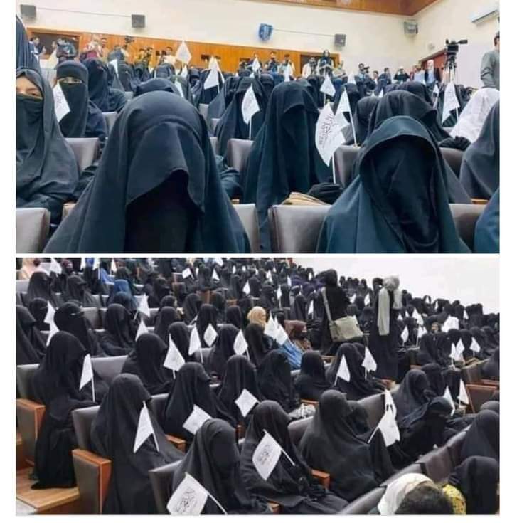 KrypToon tweet media