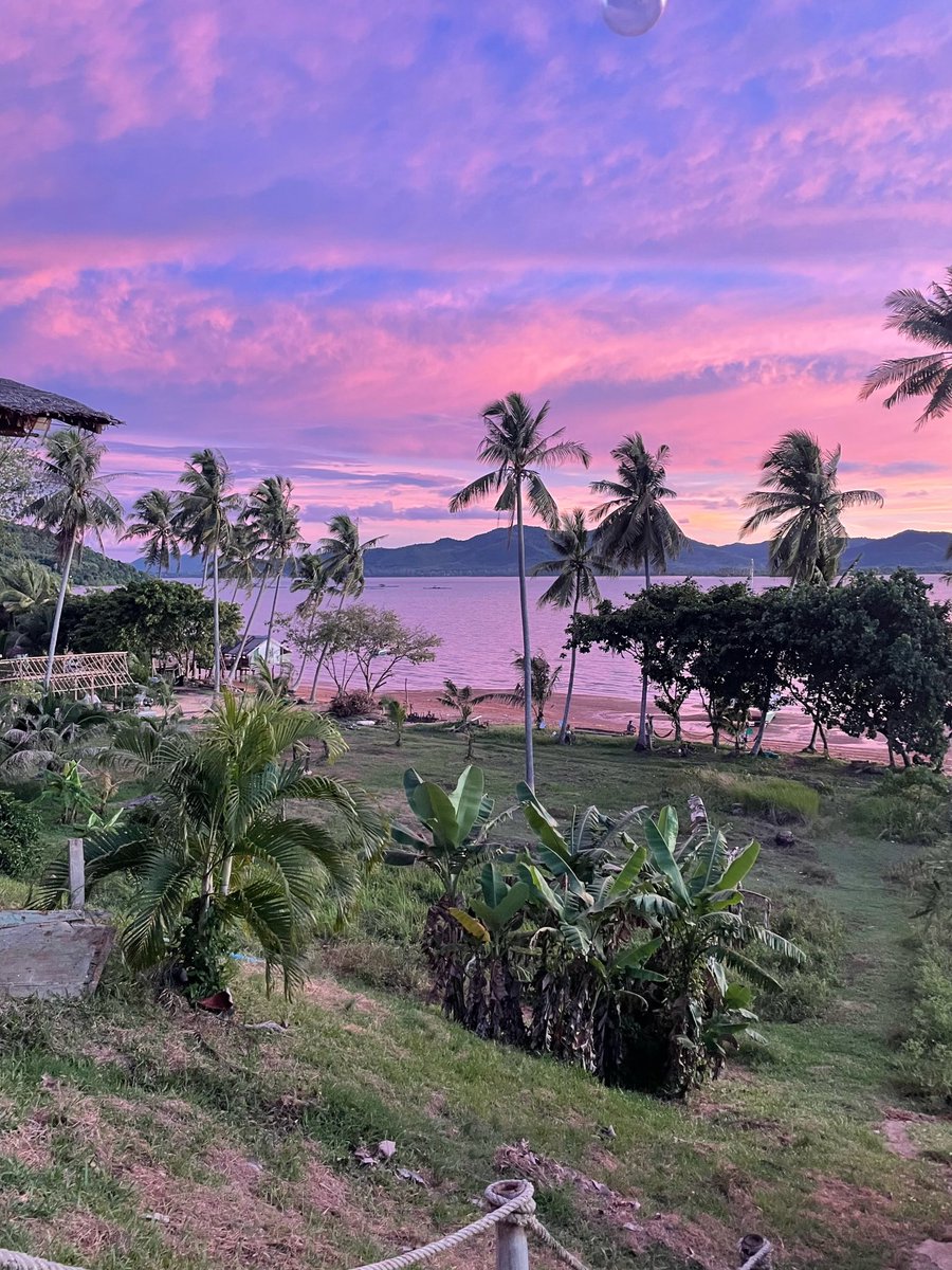 Emperor.SOL tweet media