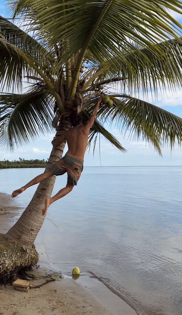 Gm. Check the comments for a surprise.