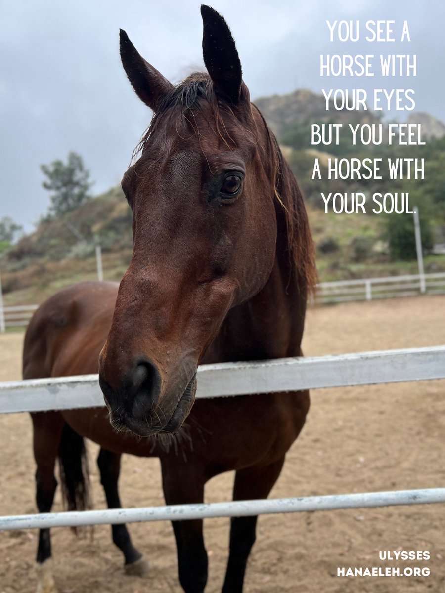 Hanaeleh (@hanaeleh) on Twitter photo 