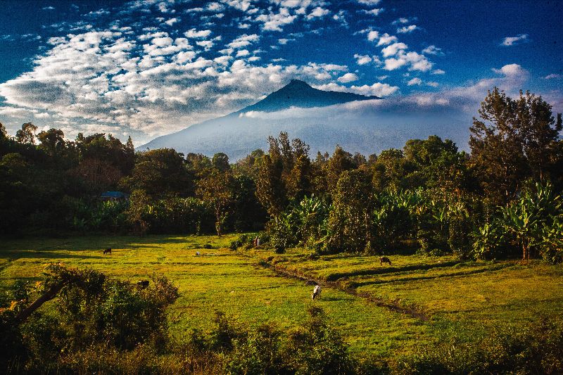 88bikes's tweet photo. 88 x Geographer of Volcanoes - https://t.co/aLLWUgbSZb In 18 years of work we've heard every possible Great Dream from bike recipients: thousands of Doctors, Nurses, Teachers – and one Volcano Engineer, my personal favorite... https://t.co/8e45WKdSNl