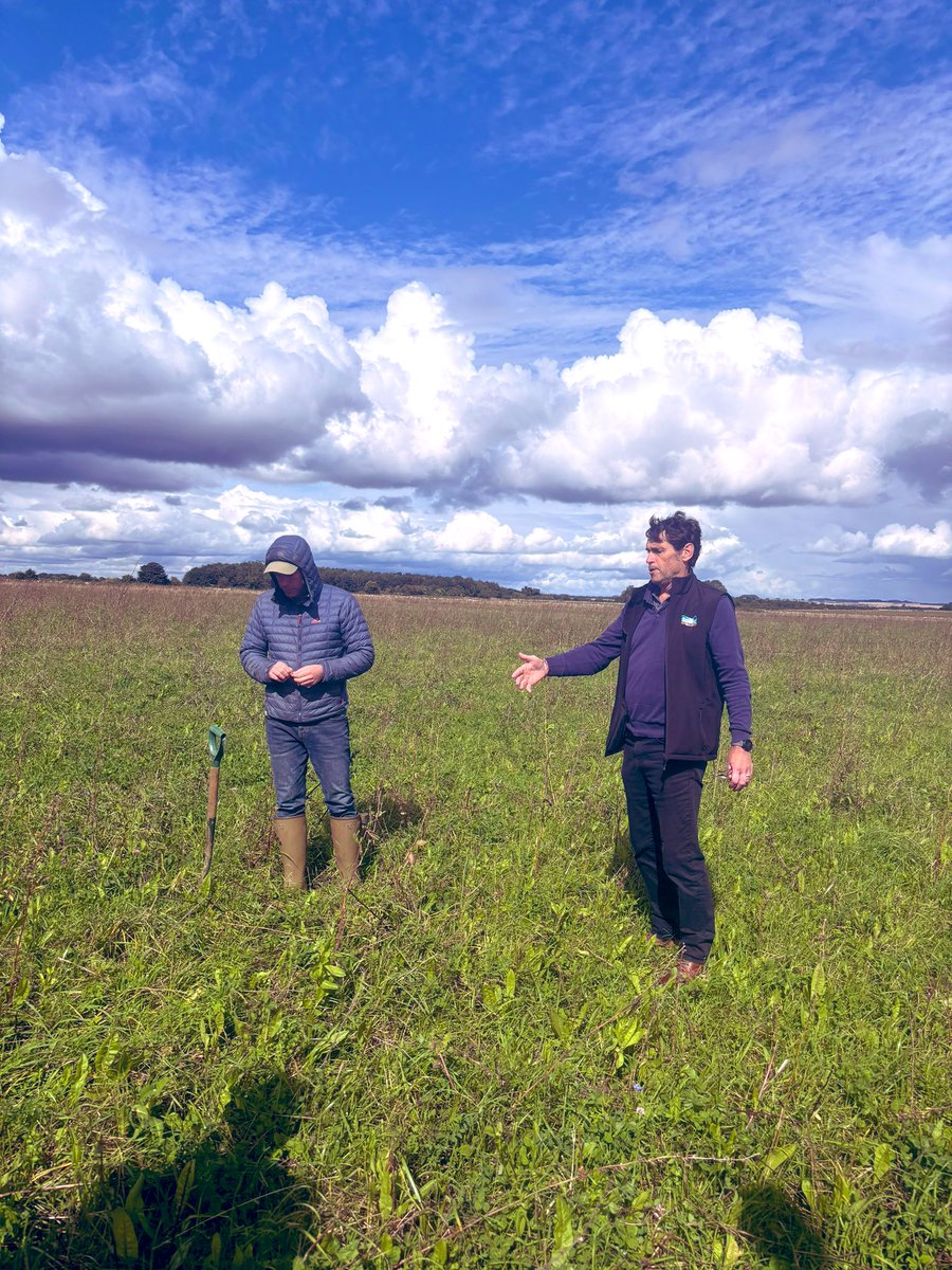 Ren Frances tweet media