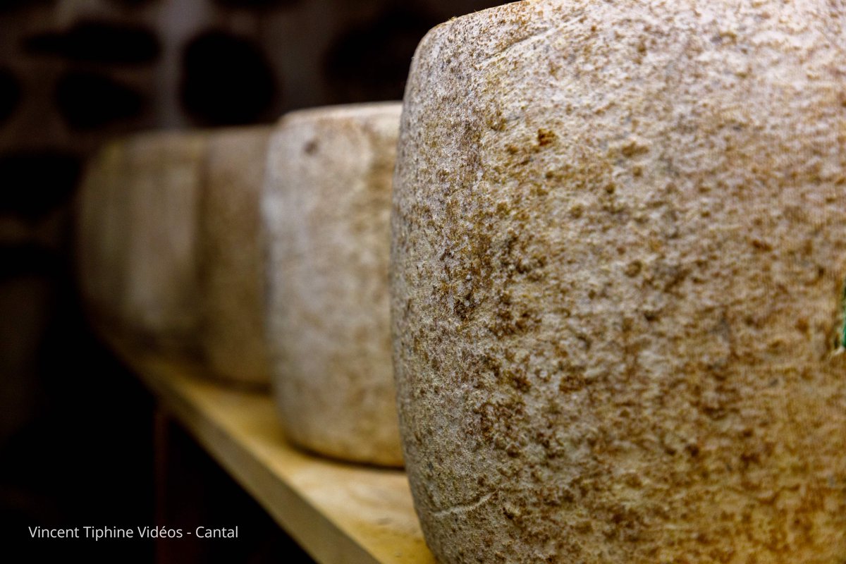 #LaPhotoDu15 
Cantal jeune, entre-deux, ou vieux ? Tout est question de durée d'affinage ! 
En savoir plus ici : fromages-aop-auvergne.com/nos-appellatio…