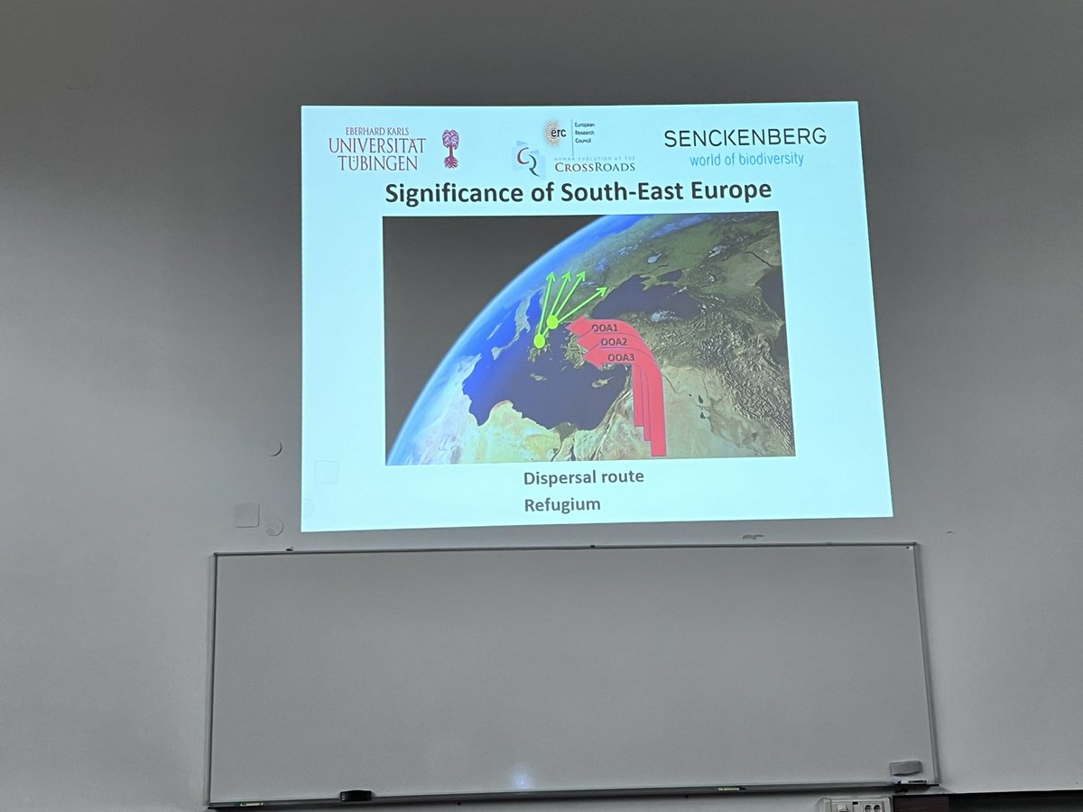 MartMLahr's tweet image. Katarina Harvati putting the #Palaeolithic of #Greece on the map!!! Many new sites spanning the #MiddlePleistocene, fantastic stratigraphic work at #Megalopolis badin, with fauna, butchery sites &amp;amp; lithics 🥰
#ESHE2024