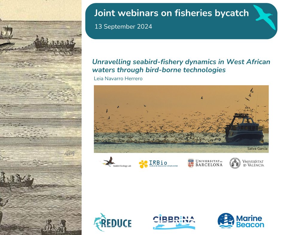 REDUCE project (@reduceproject) on Twitter photo "Joint Webinars on Fisheries Bycatch" by <a href="/REDUCE/">robin summers</a>, <a href="/MarineBEACON_EU/">Marine Beacon</a> and <a href="/CIBBRiNA/">CIBBRiNA</a> will bring us the first internal webinar as a result of this collaborative effort to share knowledge on the issue of interactions of fisheries and marine #megafaunaspecies #MarineETPSBycatch "Joint Webinars on Fisheries Bycatch" by <a href="/REDUCE/">robin summers</a>, <a href="/MarineBEACON_EU/">Marine Beacon</a> and <a href="/CIBBRiNA/">CIBBRiNA</a> will bring us the first internal webinar as a result of this collaborative effort to share knowledge on the issue of interactions of fisheries and marine #megafaunaspecies #MarineETPSBycatch