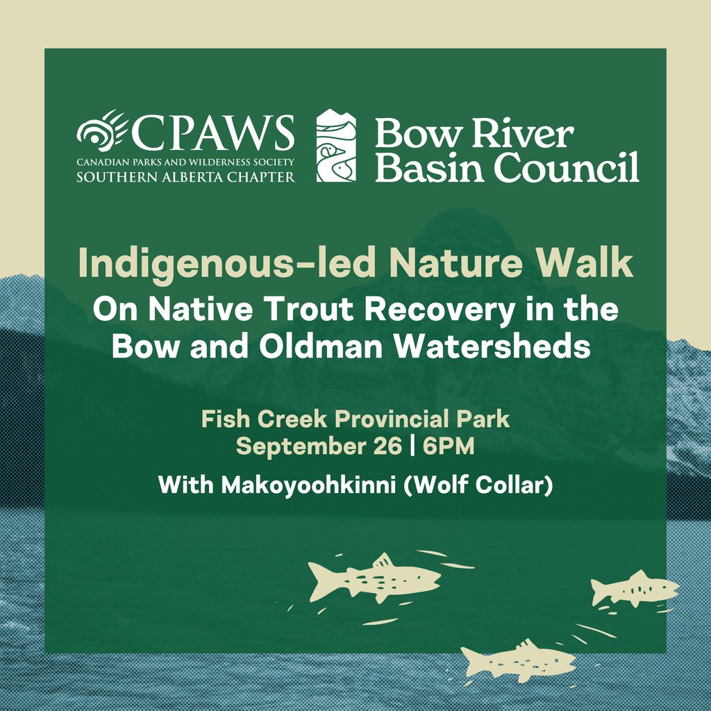 BRBC (@bowriverwpac) on Twitter photo We have partnered again with <a href="/cpawssab/">CPAWS Southern Alberta</a> for an aquatic-themed expedition featuring Elliot Fox (Wolf Collar), as part of CPAWS' Indigenous-led Nature Walk series!
Thursday, September 26 | 6 — 7:30PM
Fish Creek Provincial Park
Register to join us: cpaws-southernalberta.org/indigenous-led… We have partnered again with <a href="/cpawssab/">CPAWS Southern Alberta</a> for an aquatic-themed expedition featuring Elliot Fox (Wolf Collar), as part of CPAWS' Indigenous-led Nature Walk series!
Thursday, September 26 | 6 — 7:30PM
Fish Creek Provincial Park
Register to join us: cpaws-southernalberta.org/indigenous-led…
